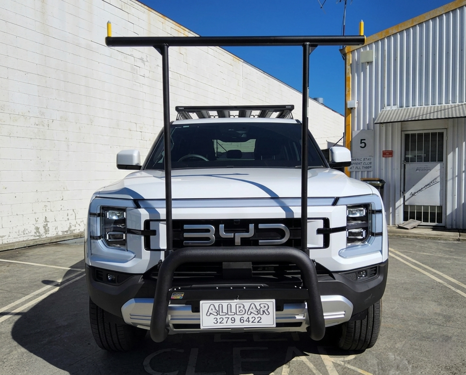 Allbar Black Alloy Nudge Bar with HRack Set Fits BYD Shark 6