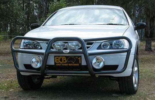 Ford Falcon Bf Roo Bar (10/02 To 09/06)