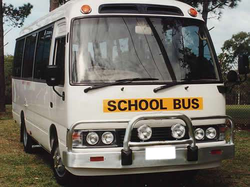 Toyota Coaster Bullbar (01/94 To 07/07)