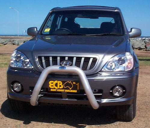 Hyundai Terracan Nudge Bar (11/01 To 06)