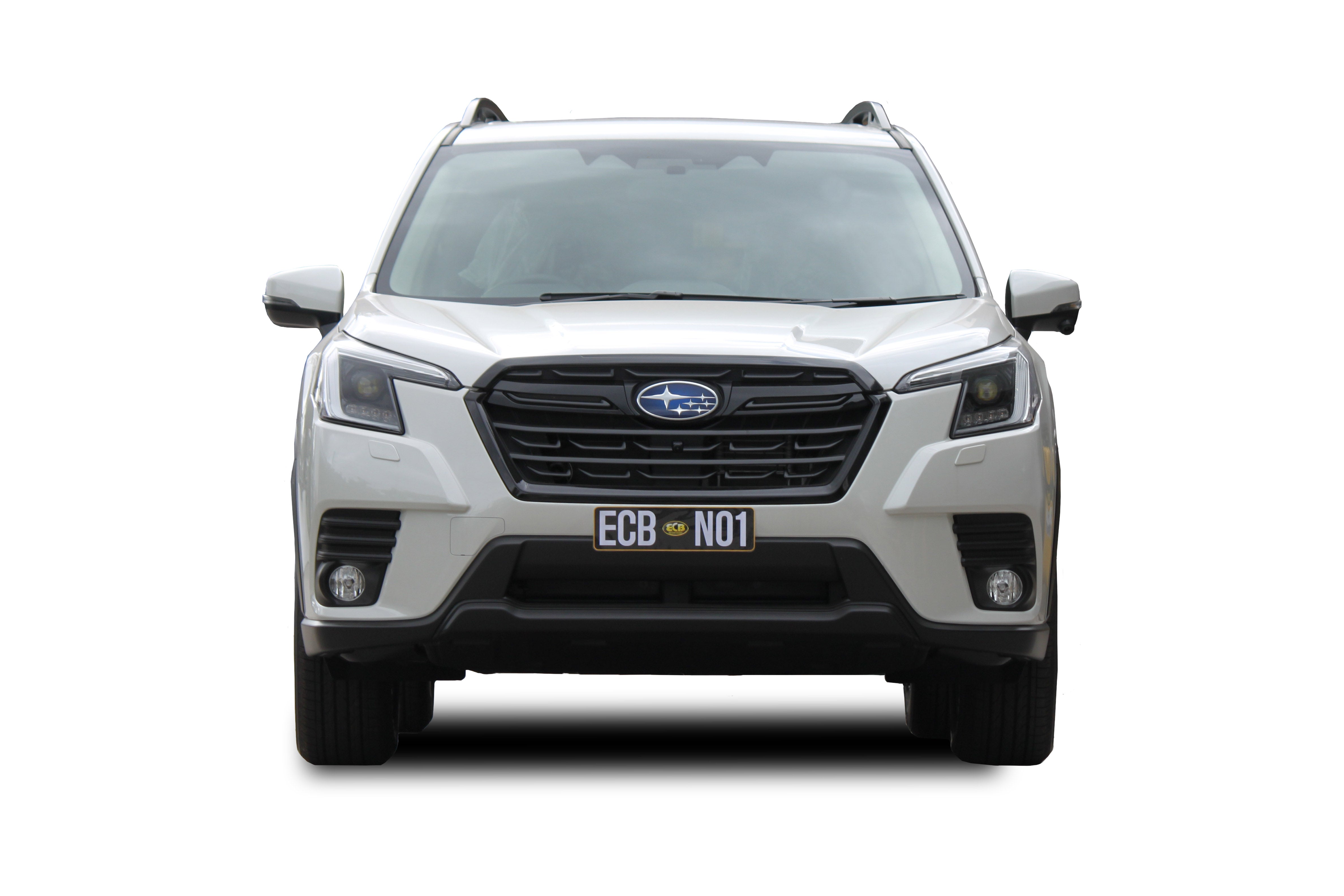 Subaru Forester Nudge Bar (07/18 To 07/21)