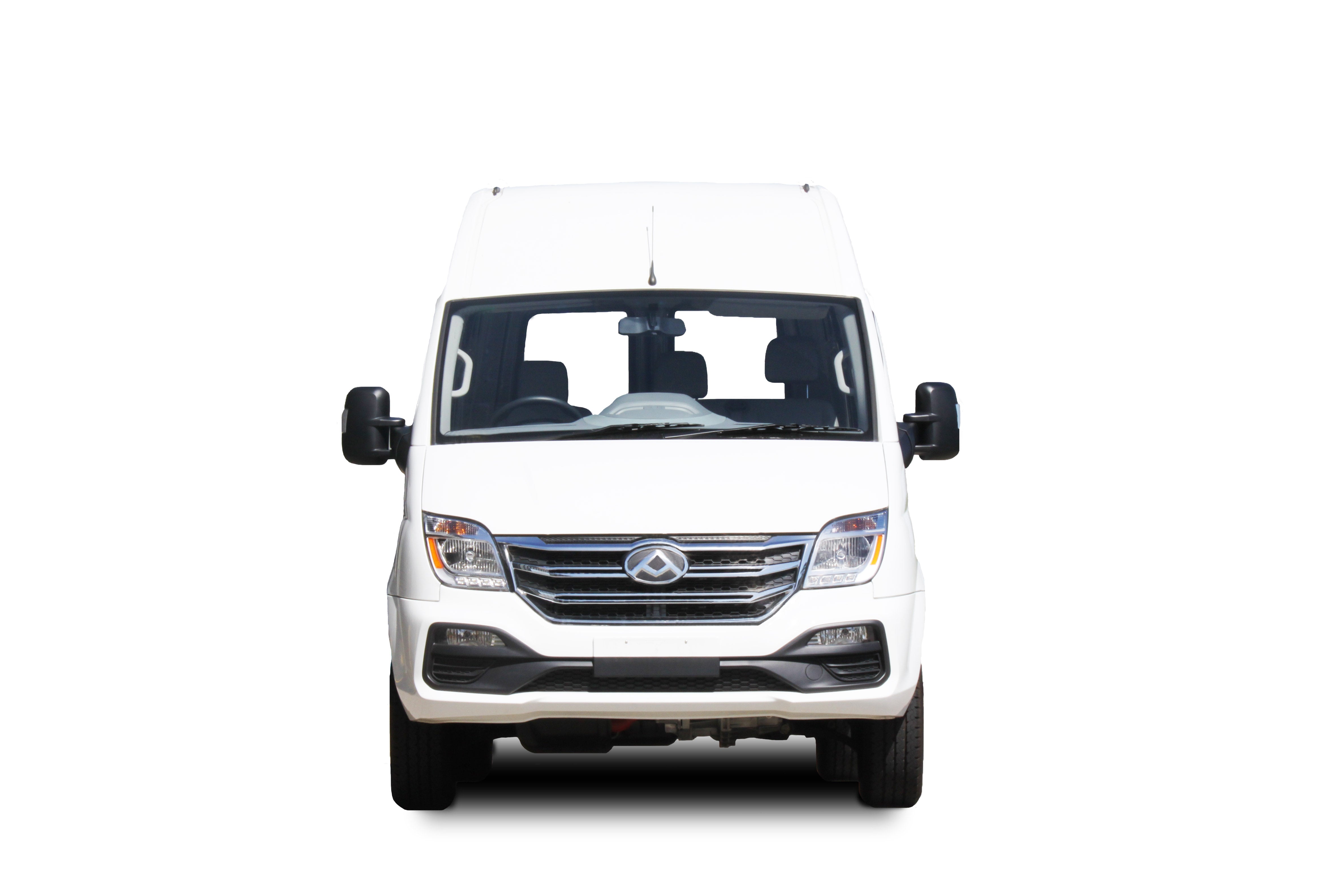 Ldv V80 Bullbar (01/19 To )