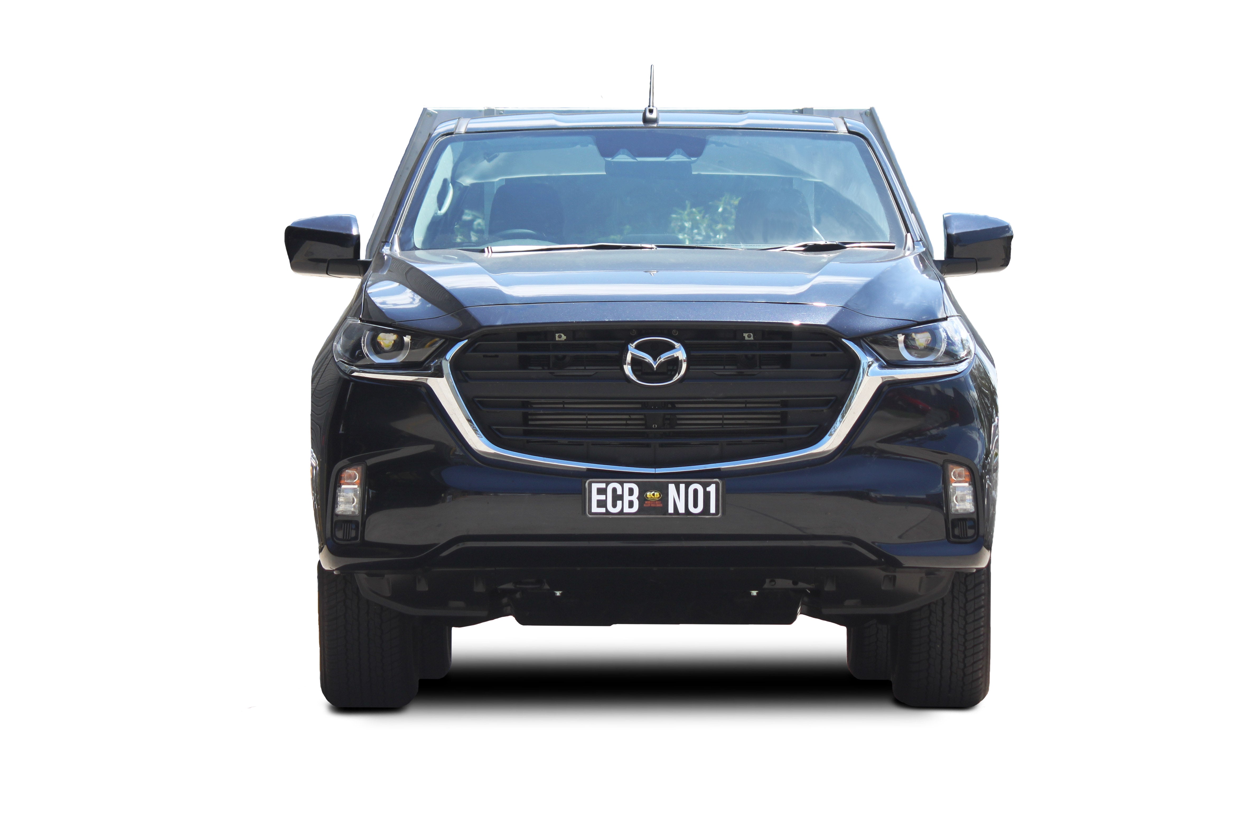 Mazda Bt-50 Nudge Bar (07/20 To )