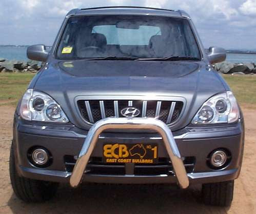 Hyundai Terracan Nudge Bar (11/01 To 06)