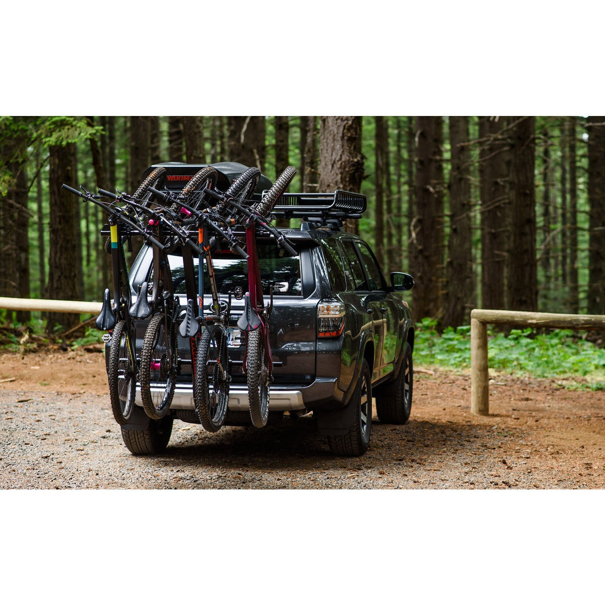 SUV in the forest with bikes hanging on the rear